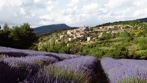 Lavendel der Provence mit A-ROSA bewundern 