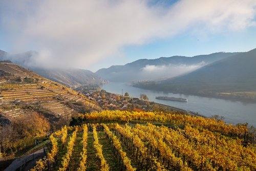 Blick auf den Tausendeimerberg mit herbstlich gelben Weinreben, die sich über die Hänge erstrecken und der Donau im Hintergrund, unter einem leicht bewölkten blauen Himmel.