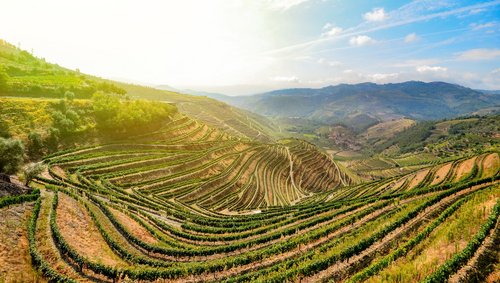Die Weinbauregion Régua erleben