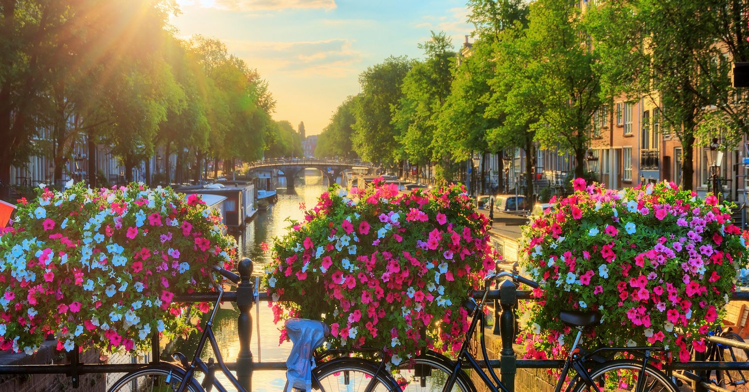Rhine River Cruise: Rhine Experience Amsterdam & Rotterdam 2025 - BASIC