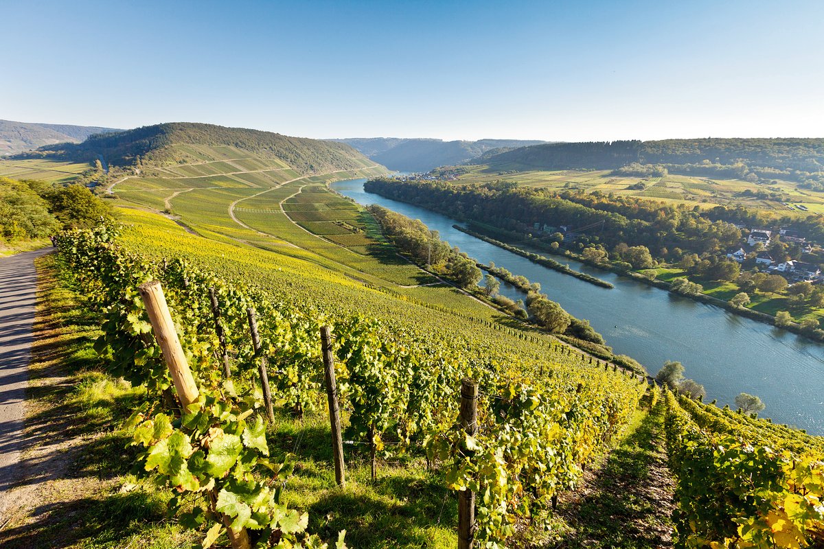 Moselle River Cruises 1